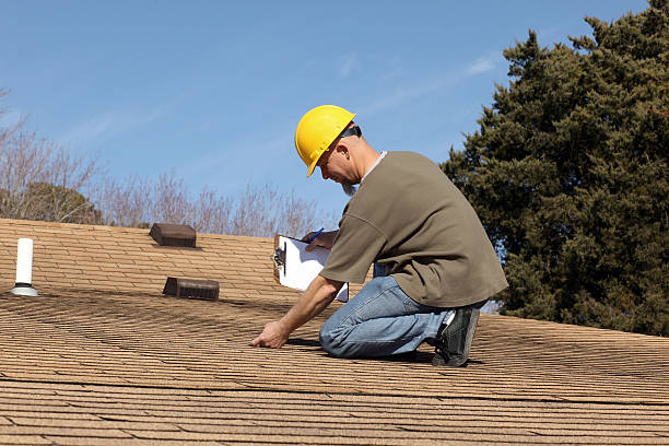 Best Roof Maintenance and Cleaning  in Grand Rapids, MN
